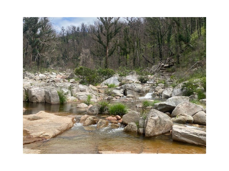 1466 Tantawangalo Mountain Road, Candelo NSW 2550