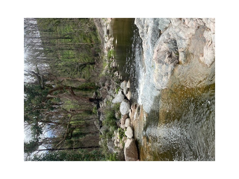 1466 Tantawangalo Mountain Road, Candelo NSW 2550