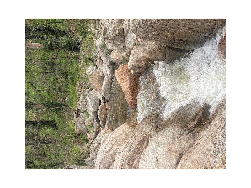 1466 Tantawangalo Mountain Road, Candelo NSW 2550