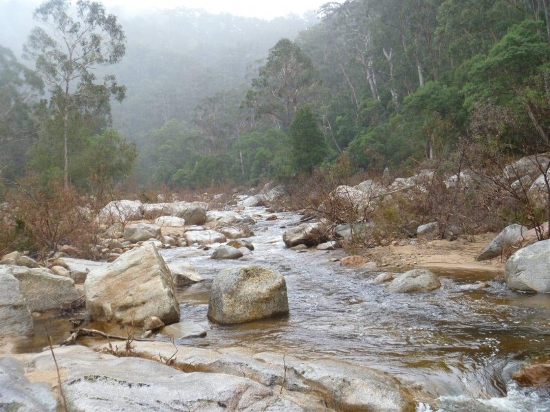 1466 Tantawangalo Mountain Road, Candelo NSW 2550