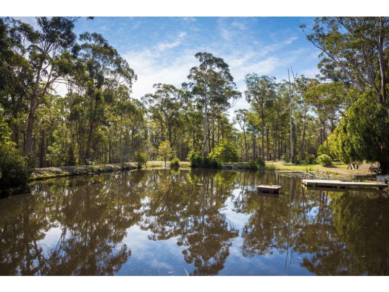 1804 Sapphire Coast Drive, Wallagoot NSW 2550
