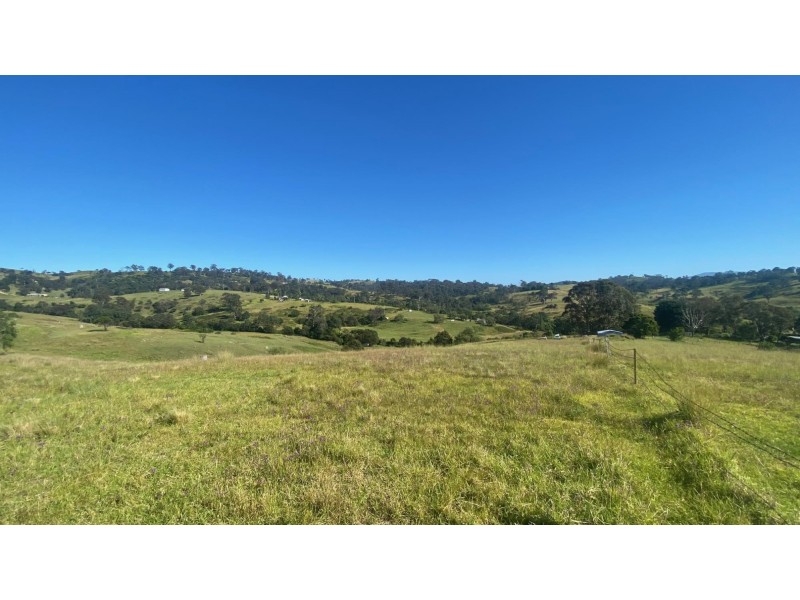 Lot 3161 Daisy Hill Road, Buckajo NSW 2550