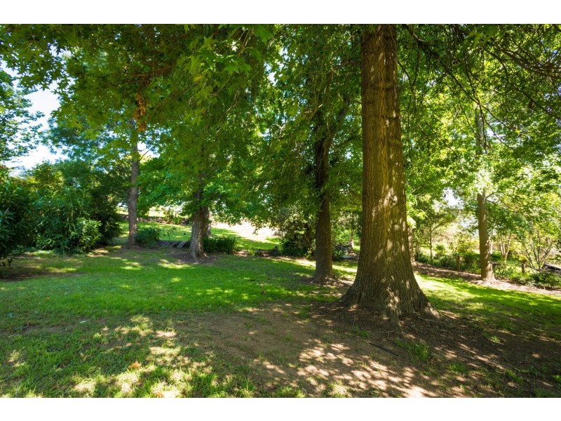 15 Meringo Street, Bega NSW 2550