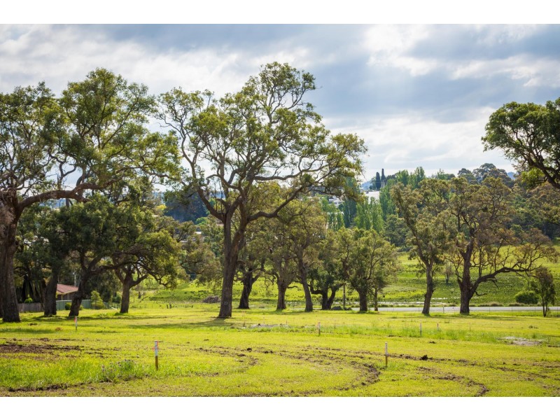 Lot 16 Littlewoods Estate, Bega NSW 2550