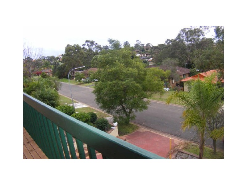 17 Mantalini Street, Ambarvale NSW 2560
