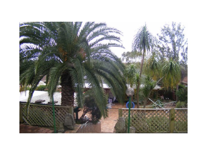 17 Mantalini Street, Ambarvale NSW 2560