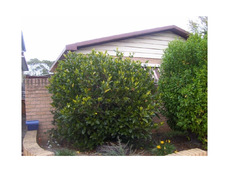 238 St Johns Rd, Bradbury NSW 2560