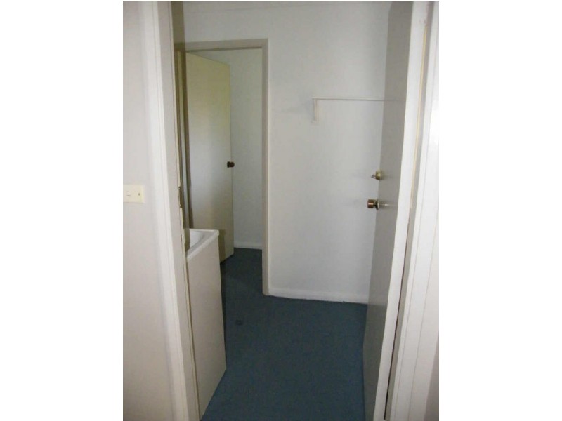 Ruse NSW 2560