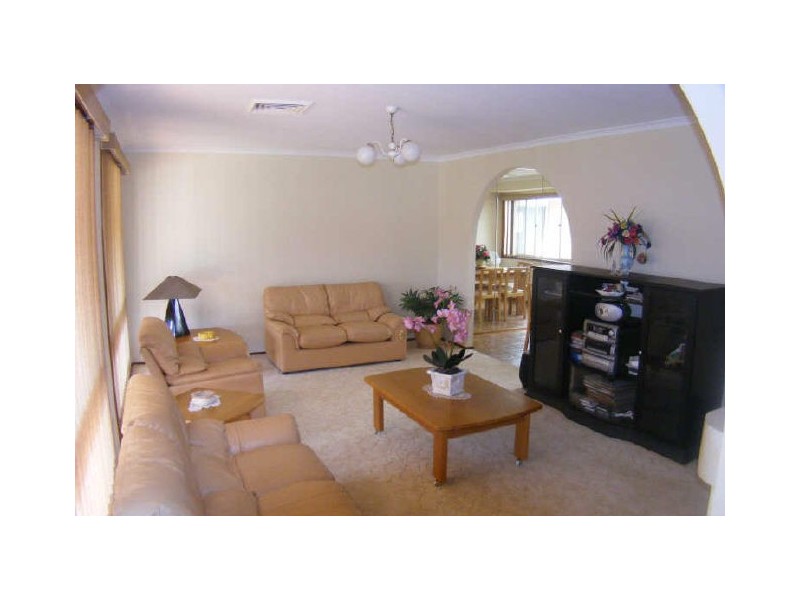 3 Appaloosa Circuit, Blairmount NSW 2559