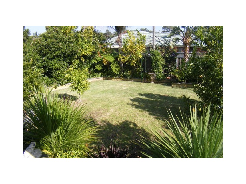 Ruse NSW 2560