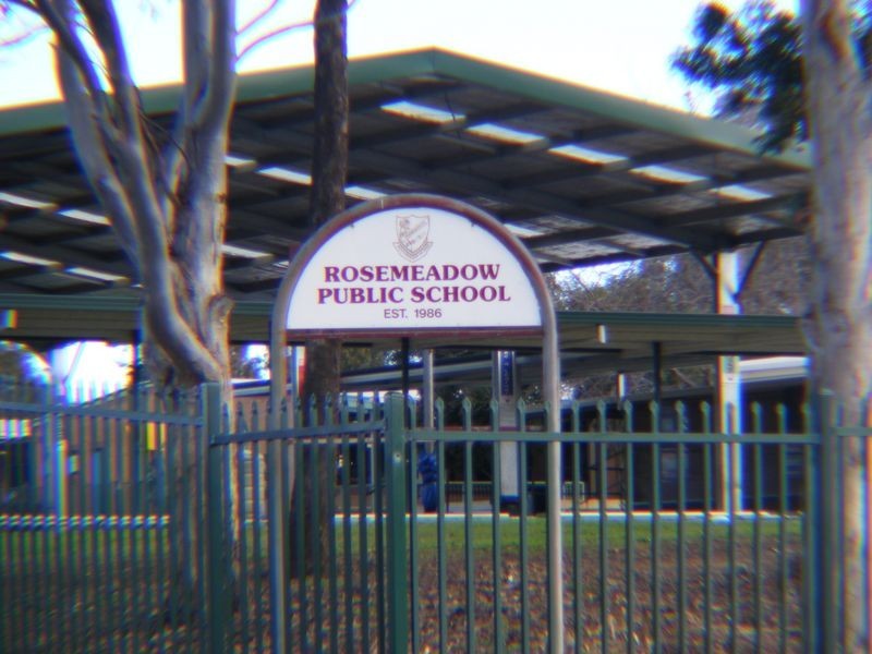 213 Copperfield Drive, Rosemeadow NSW 2560