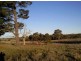 Marulan NSW 2579