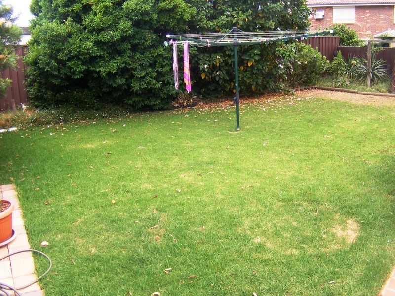 Bradbury NSW 2560