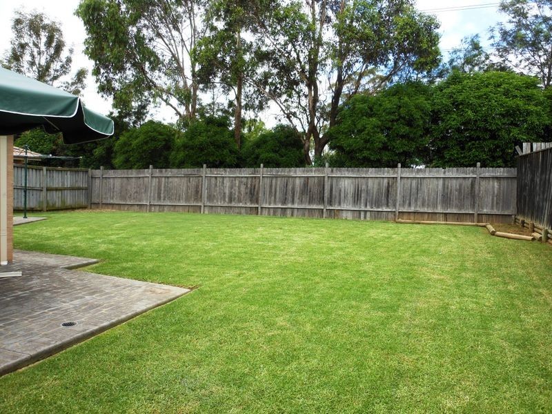 14 Steamer Pl, Currans Hill NSW 2567