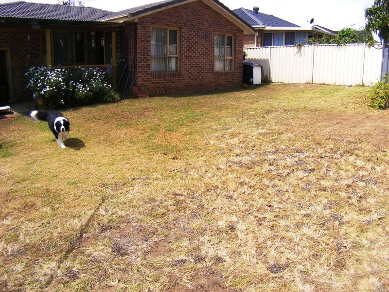 Ruse NSW 2560