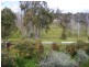 22 Chasselas Ave, Eschol Park NSW 2558