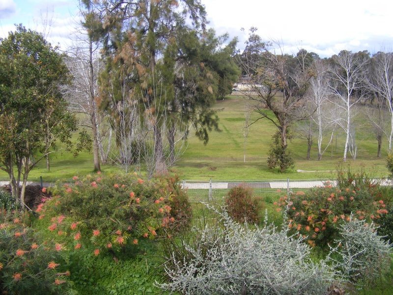 22 Chasselas Ave, Eschol Park NSW 2558