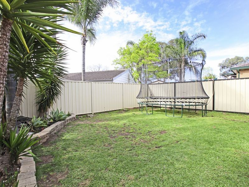Ruse NSW 2560
