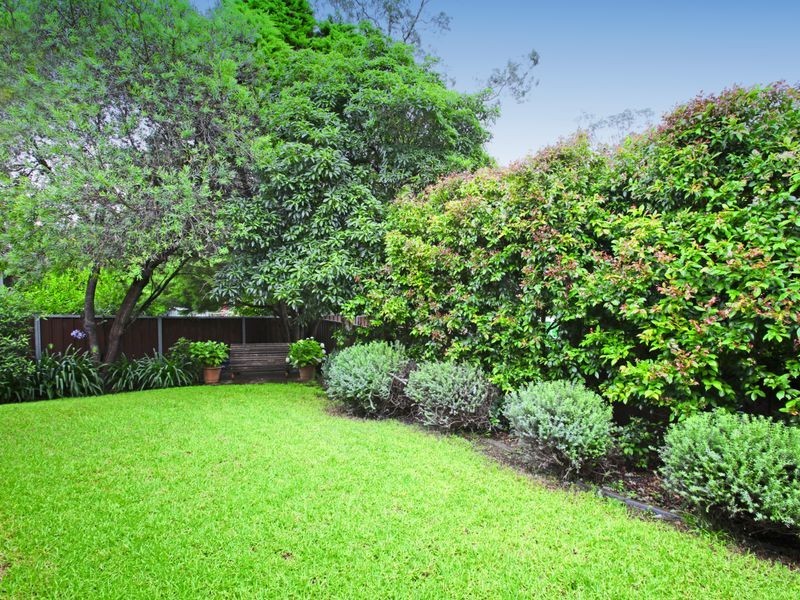 Ruse NSW 2560