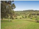 Menangle NSW 2568