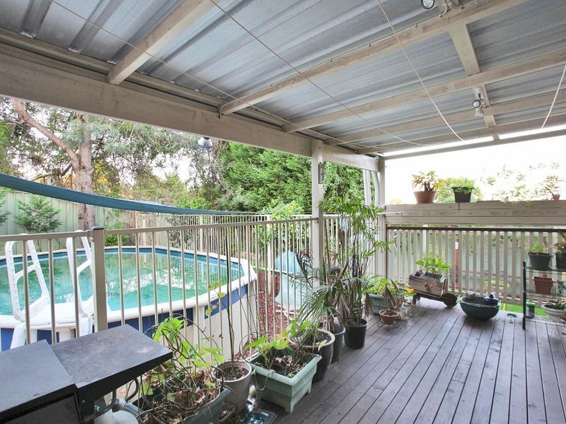 Eschol Park NSW 2558