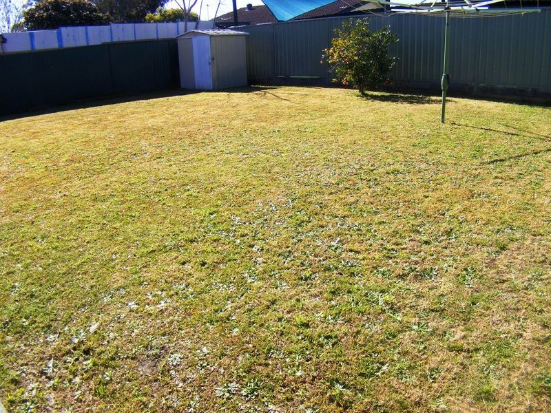 Ruse NSW 2560