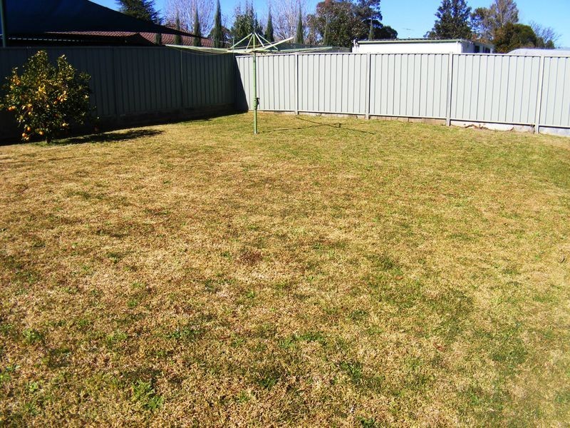 Ruse NSW 2560
