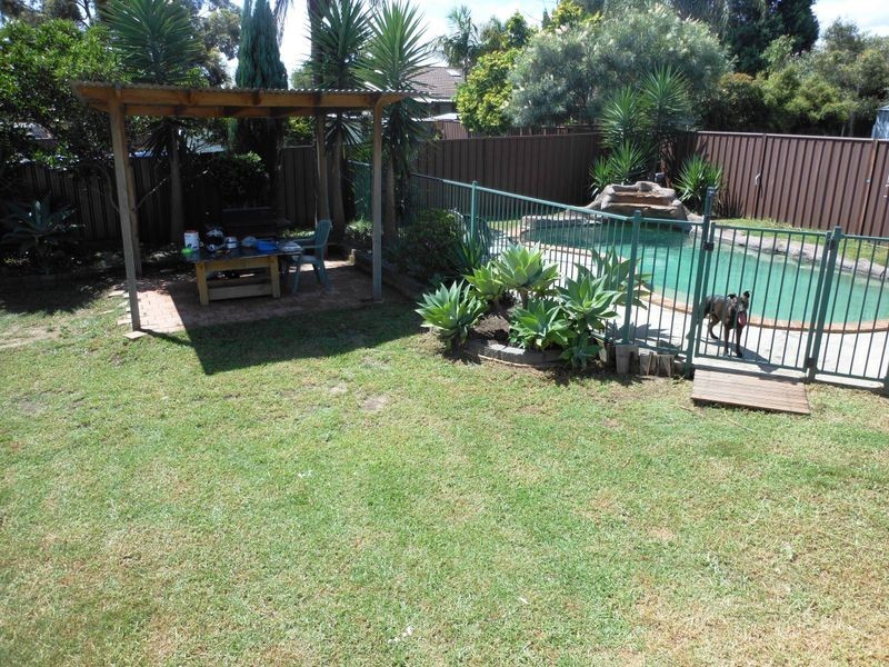 Ruse NSW 2560