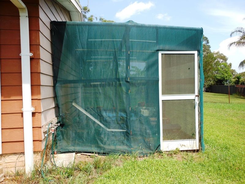 6 Joseph Whitehouse Dr, Minto NSW 2566