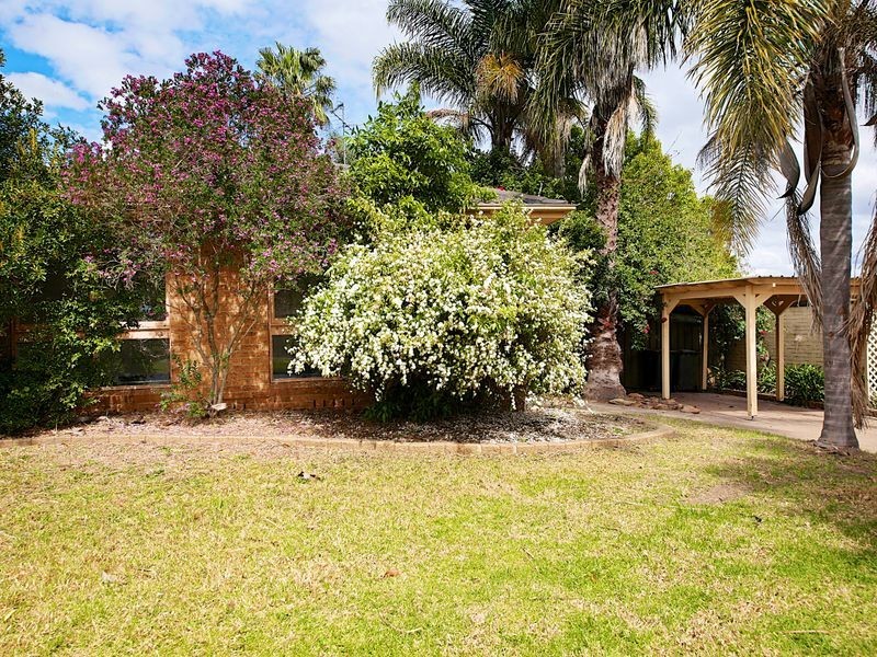 Ruse NSW 2560
