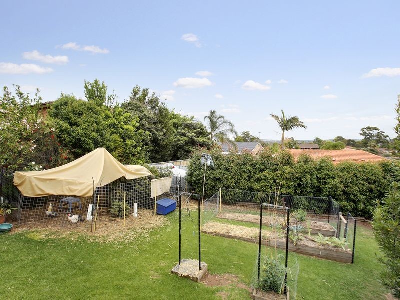 3 Rushes Pl, Minto NSW 2566