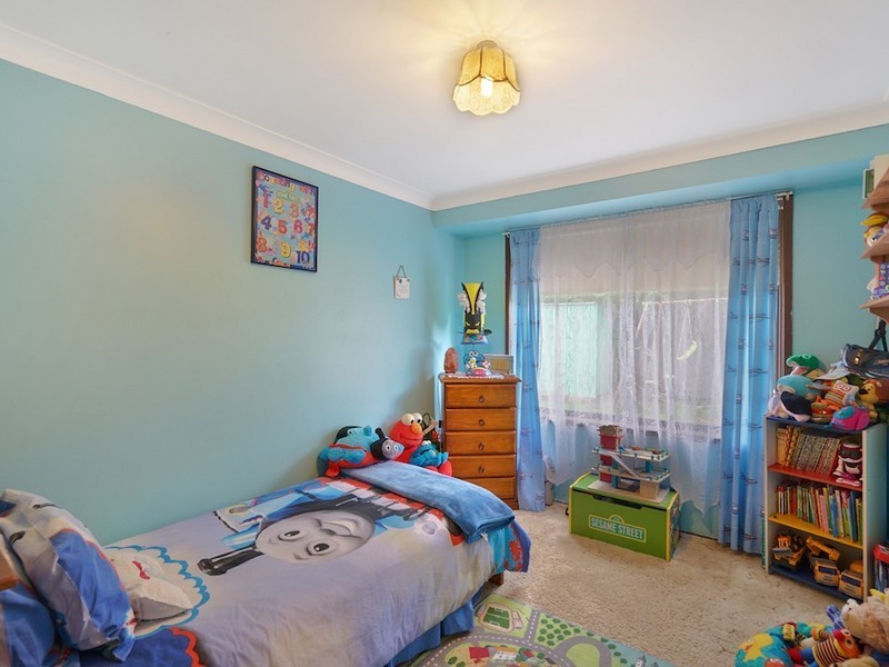 48 Chasselas Avenue, Eschol Park NSW 2558
