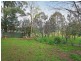 48 Chasselas Avenue, Eschol Park NSW 2558