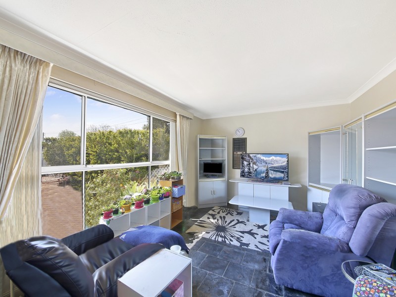 21 Treelands Avenue, Ingleburn NSW 2565