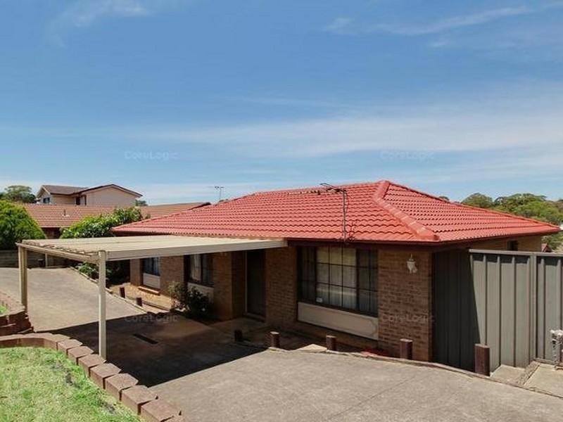 20 Thompson Place, Minto NSW 2566