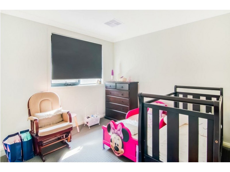 20 Ivory Curl Street, Gregory Hills NSW 2557