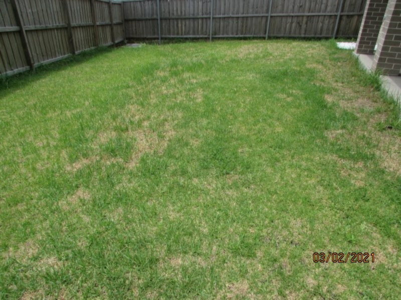 68 Crowley Boulevard, Claymore NSW 2559