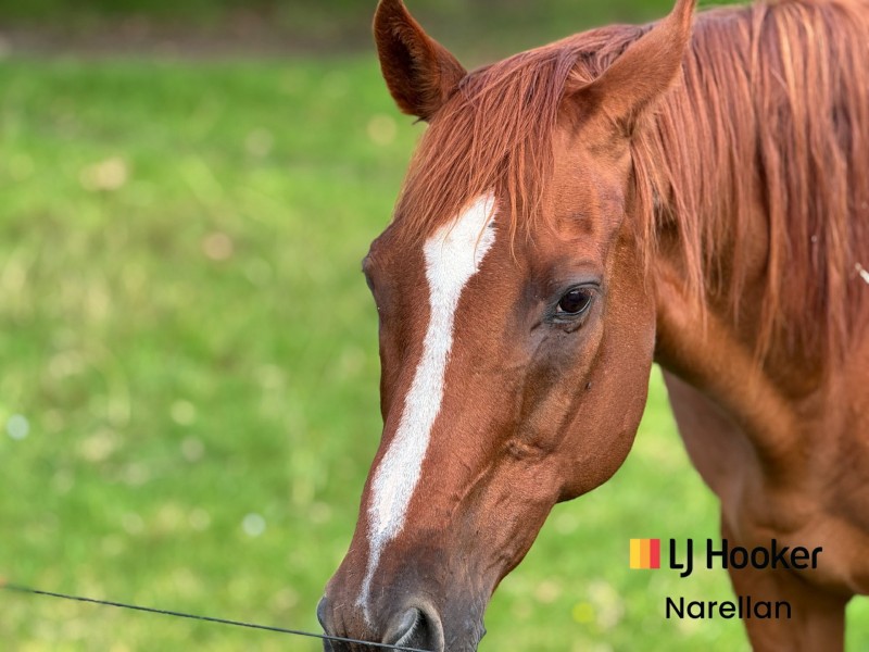 482 Wilson Drive, Balmoral Village NSW 2571