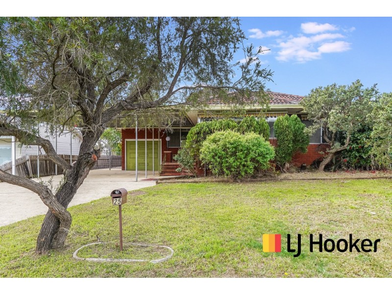 25 Nicholson Avenue, Leumeah NSW 2560