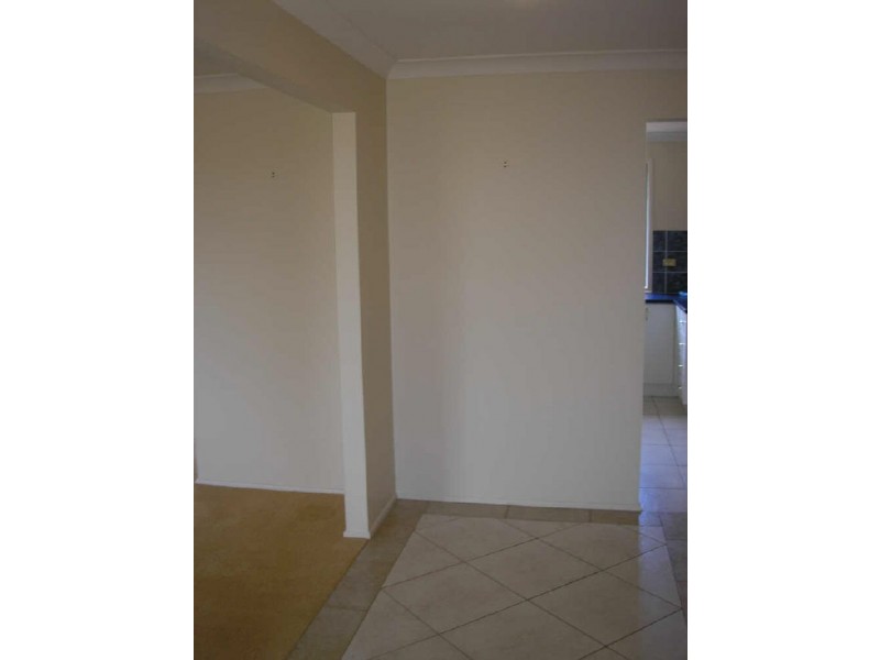 14 Clark Place, Minto NSW 2566