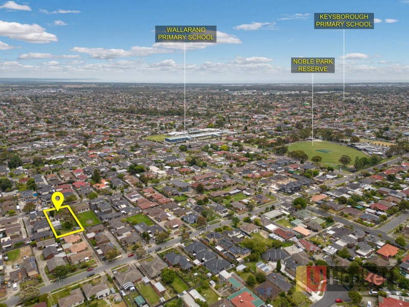 17 Rutherglen Street, Noble Park VIC 3174