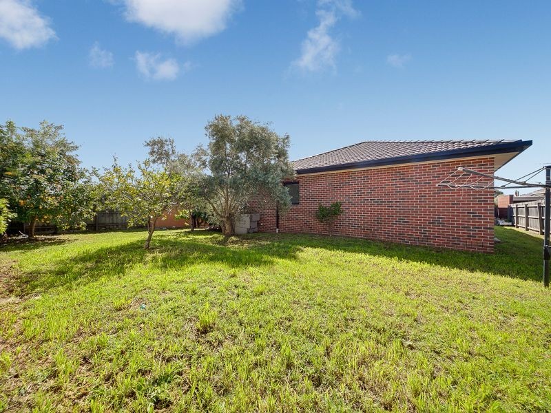 77 ORMOND ROAD, Clayton VIC 3168