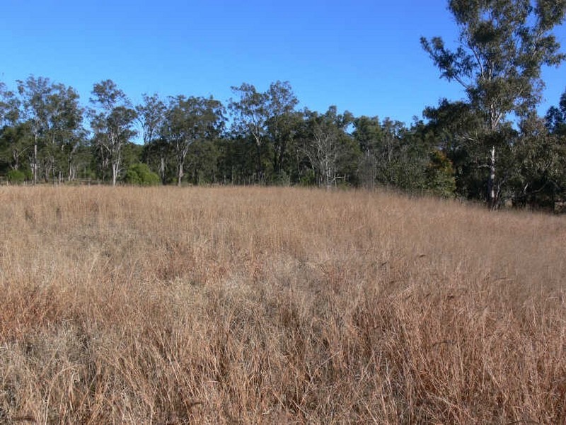 26 Old Monto Road, Eidsvold QLD 4627