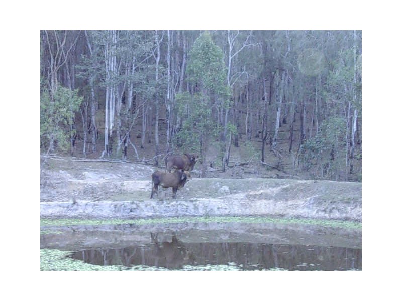 Mount Perry QLD 4671