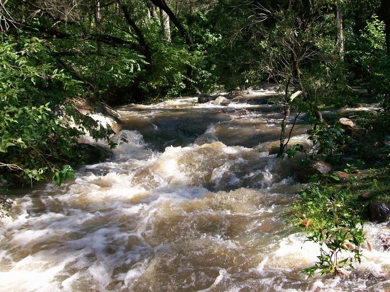 Mount Perry QLD 4671