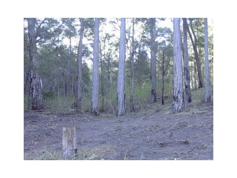 Mount Perry QLD 4671