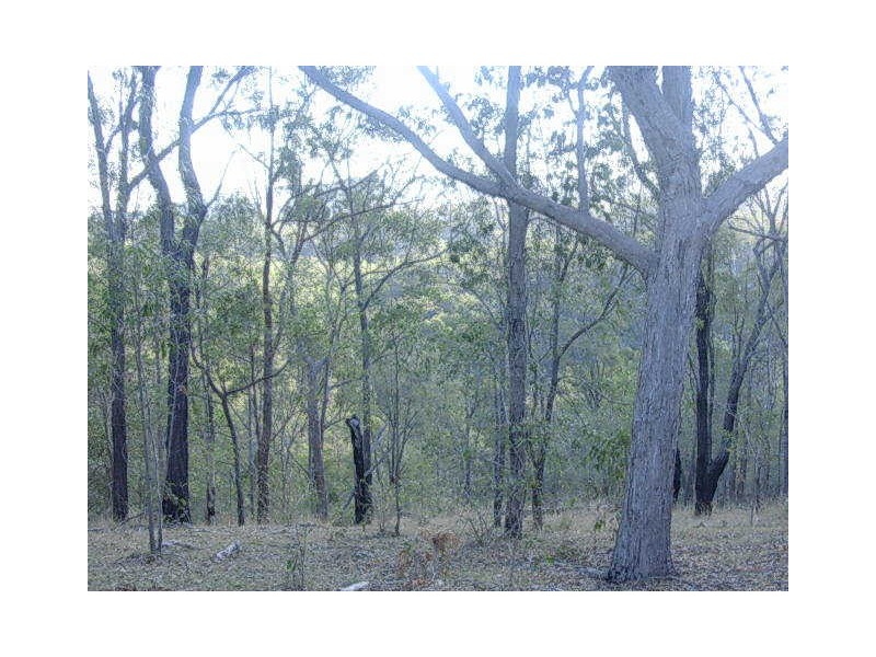 Mount Perry QLD 4671