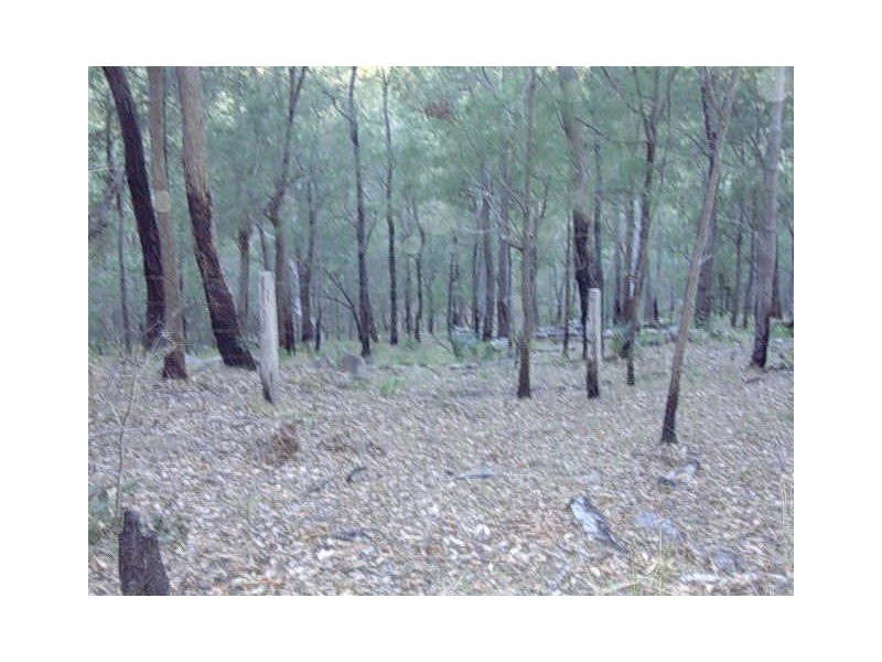 Mount Perry QLD 4671