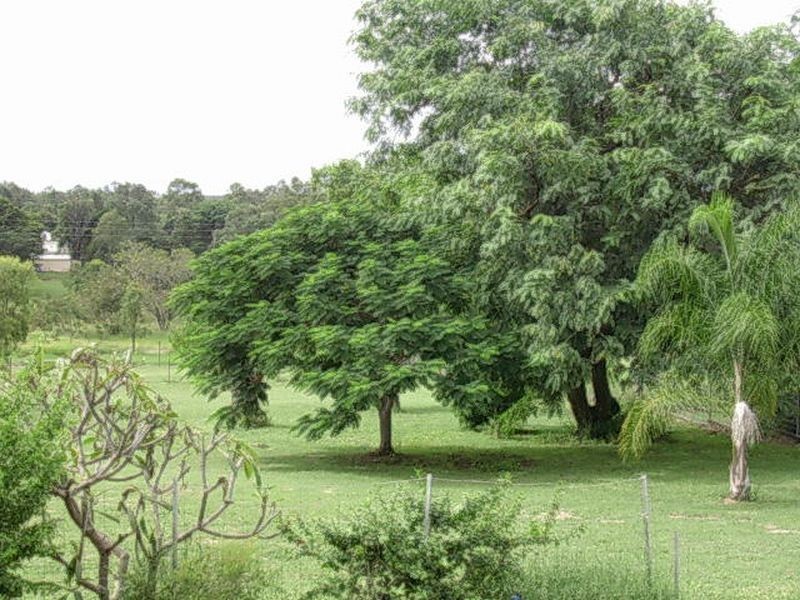 81 Porter Street, Gayndah QLD 4625