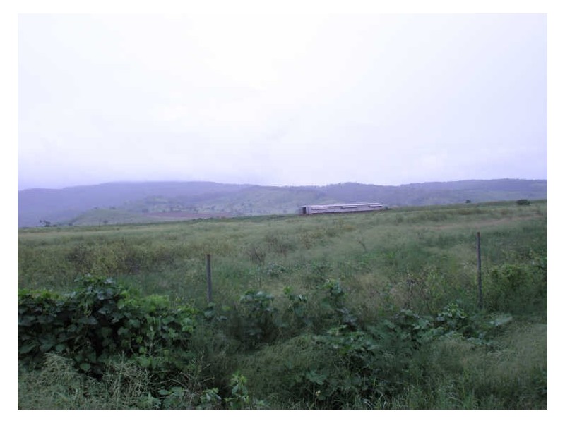 Coalstoun Lakes QLD 4621